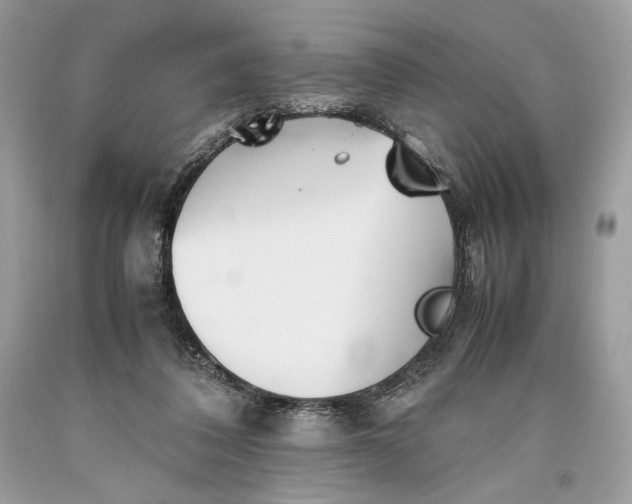 X0000093460308200710261026