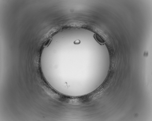 X0000093460309200710261026