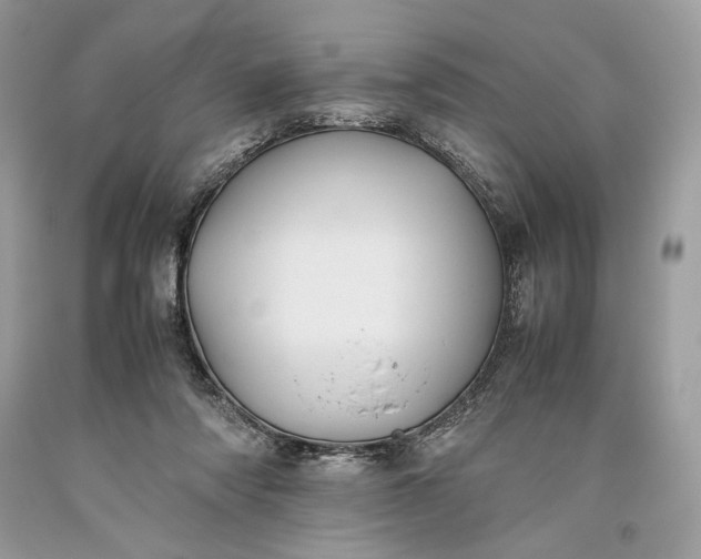 X0000093460310200710261026