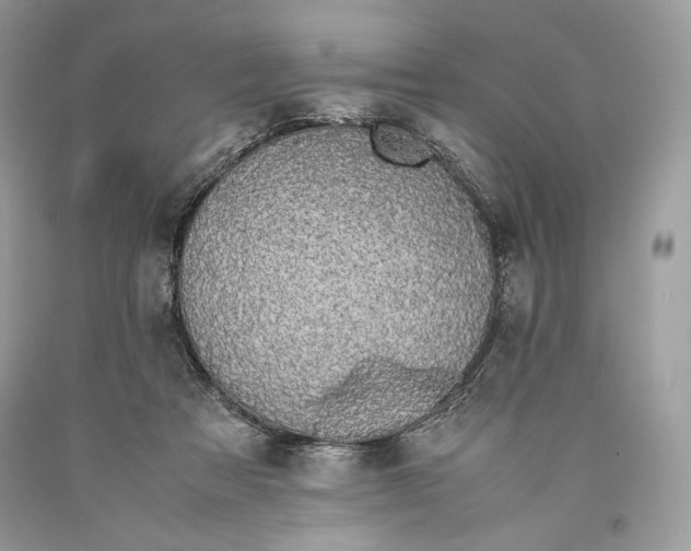 X0000093460313200710261026