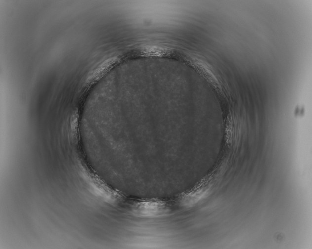 X0000093460314200710261026