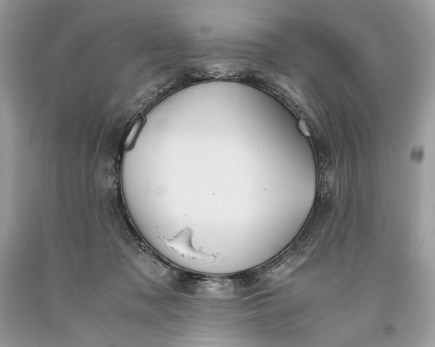 X0000093460317200710261026