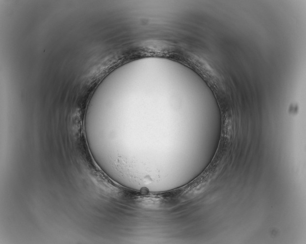 X0000093460318200710261026