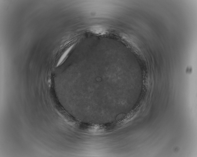 X0000093460319200710261026