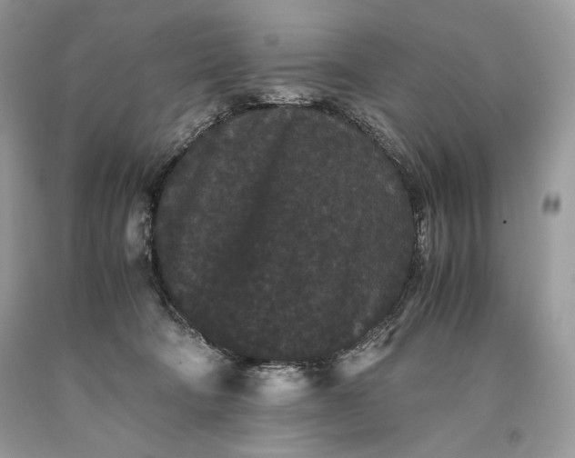 X0000093460322200710261026