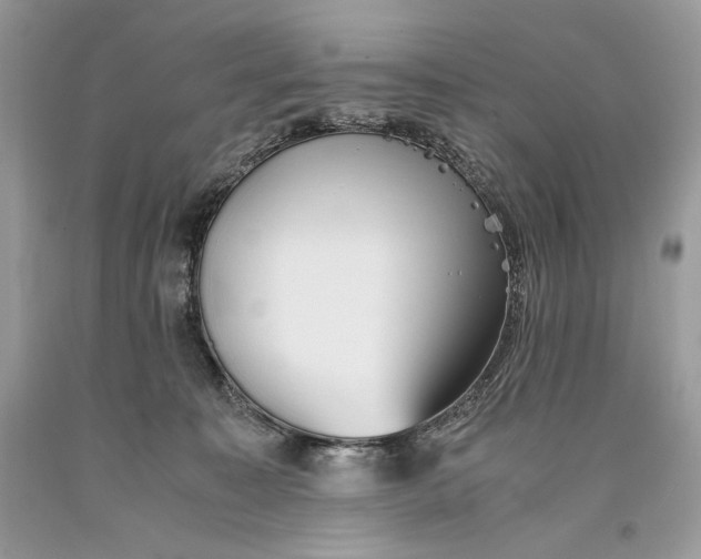 X0000093460323200710261026