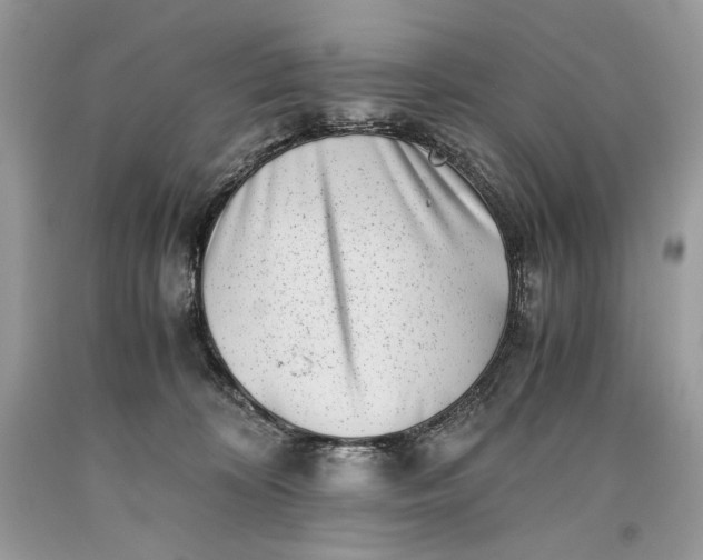 X0000093460324200710261026