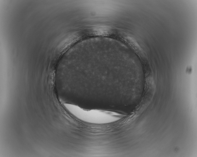 X0000093460325200710261026