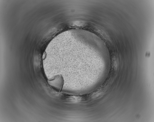 X0000093460328200710261026