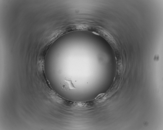 X0000093460329200710261026