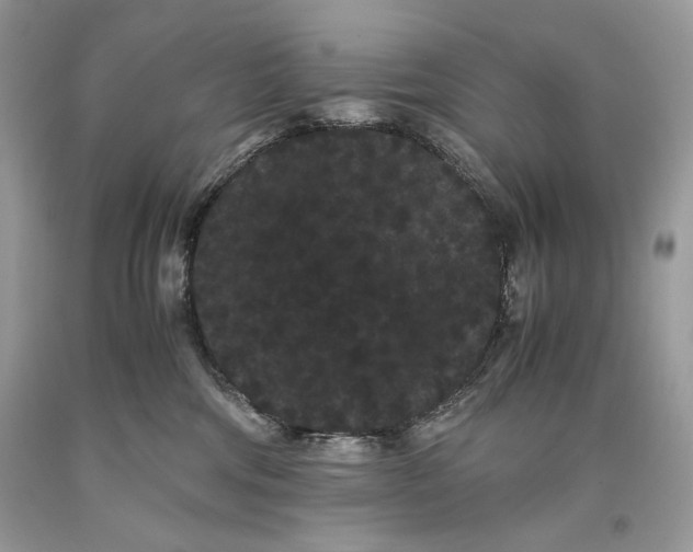 X0000093460330200710261026