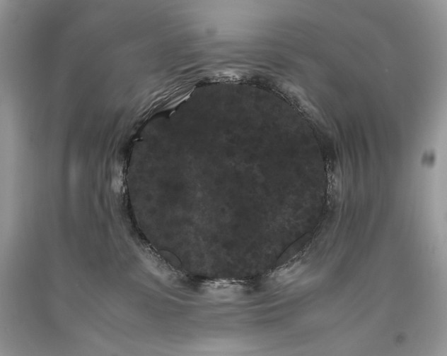 X0000093460331200710261026