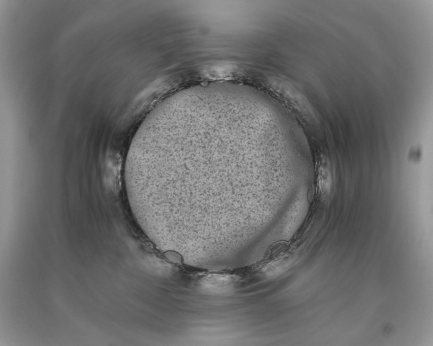 X0000093460332200710261026