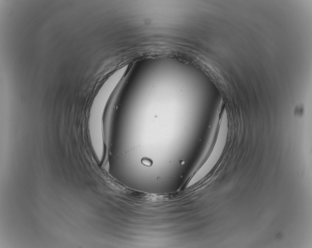 X0000093460333200710261026