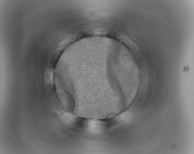 X0000093460336200710261026