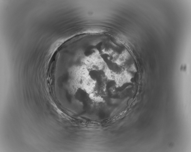 X0000093460337200710261025