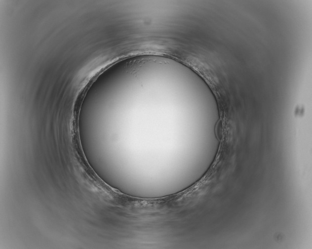 X0000093460338200710261025