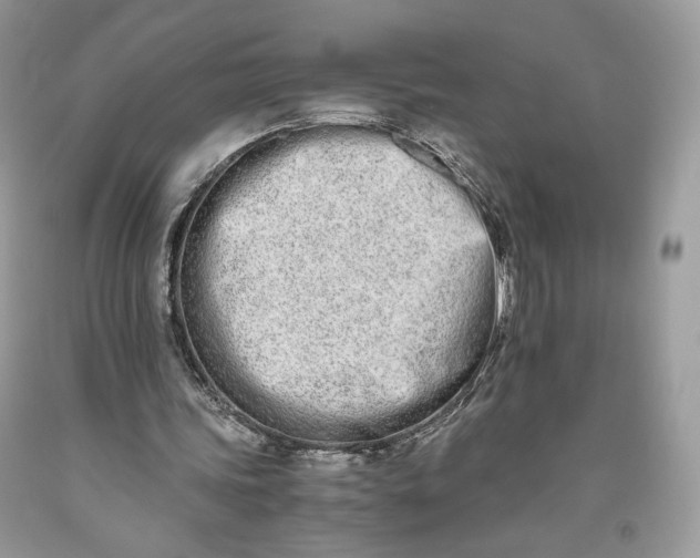 X0000093460339200710261025