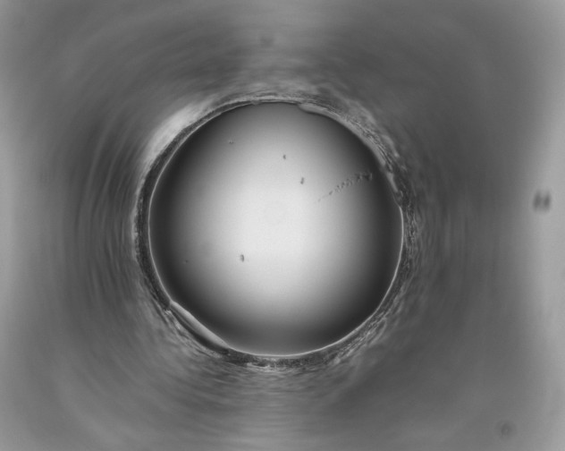 X0000093460340200710261025