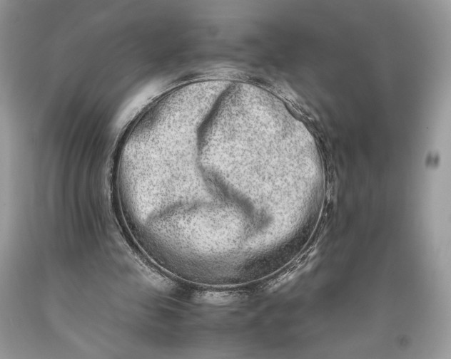 X0000093460341200710261025