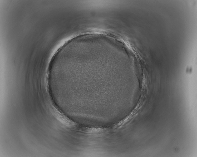 X0000093460342200710261025