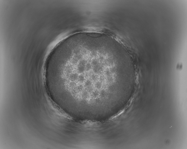 X0000093460343200710261025