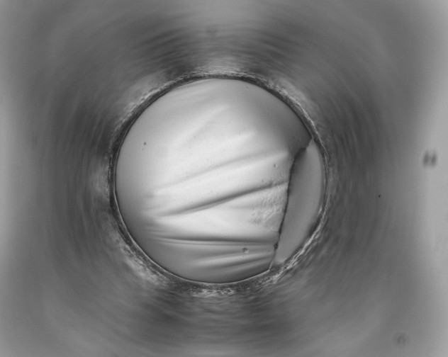 X0000093460345200710261025