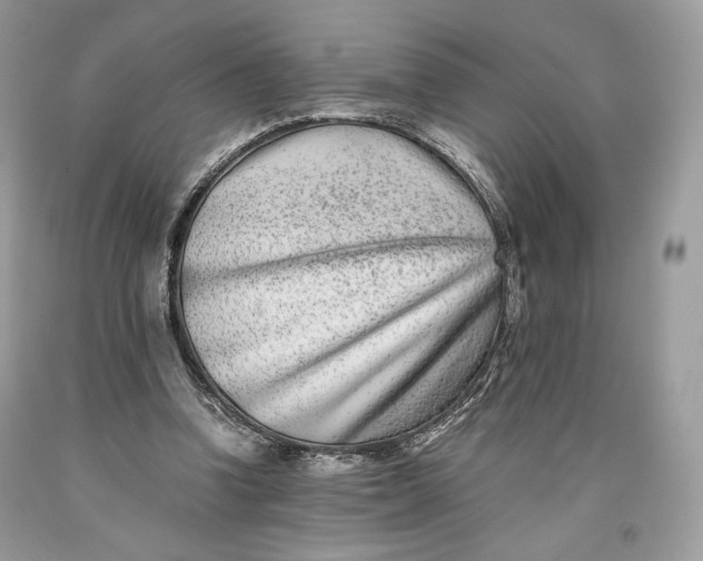 X0000093460346200710261025