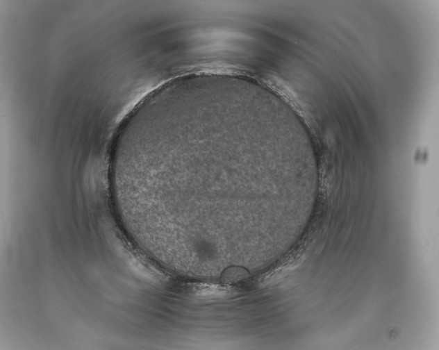 X0000093460347200710261025