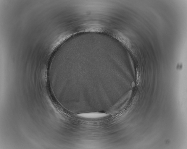 X0000093460348200710261025