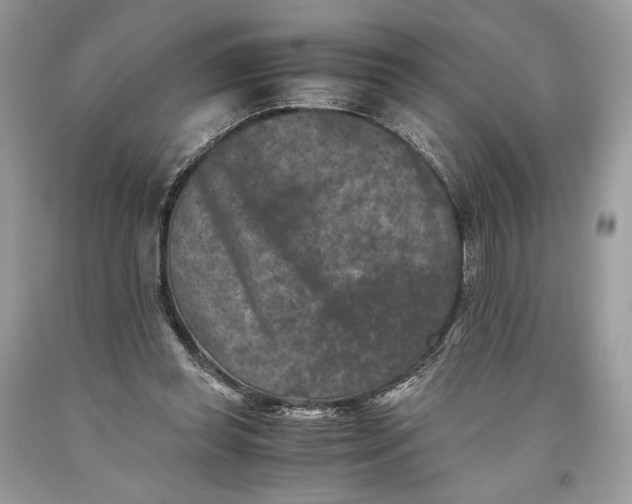 X0000093460349200710261025