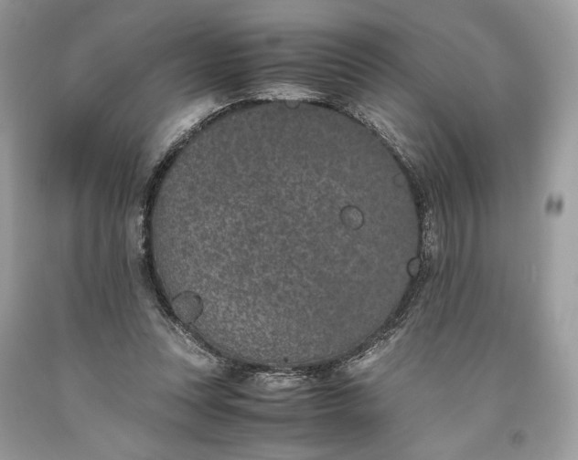 X0000093460351200710261025