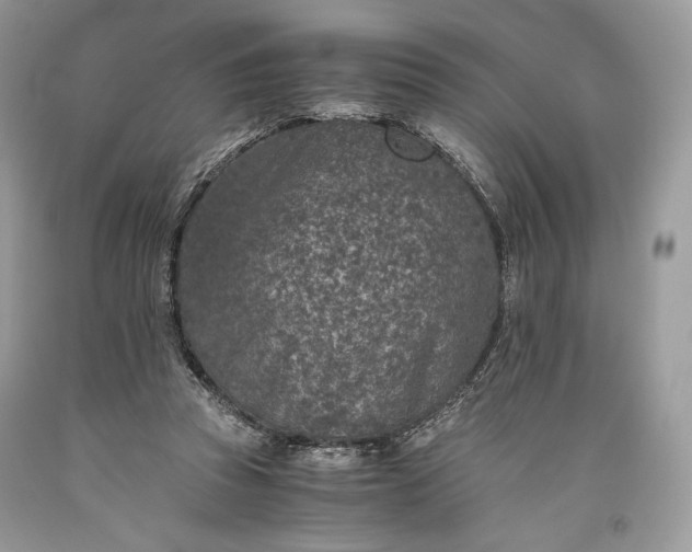 X0000093460353200710261025