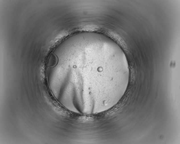 X0000093460354200710261025