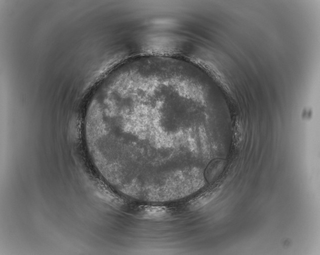 X0000093460355200710261025