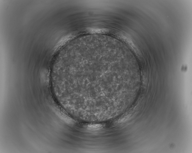 X0000093460357200710261025