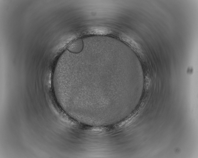 X0000093460358200710261025