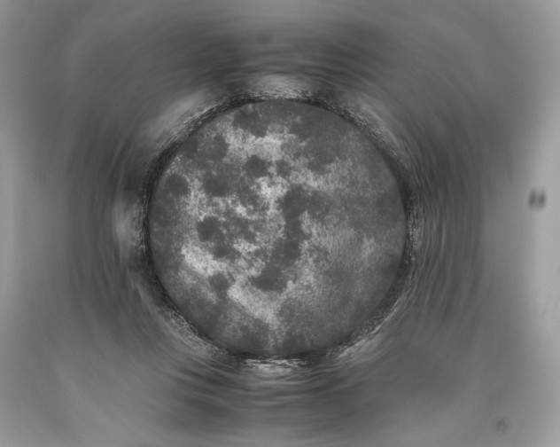 X0000093460359200710261025