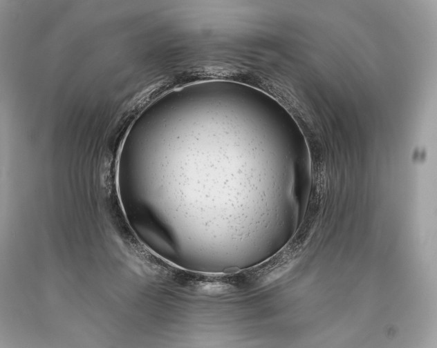 X0000093460360200710261025