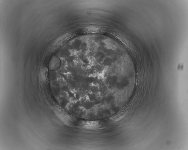 X0000093460361200710261025