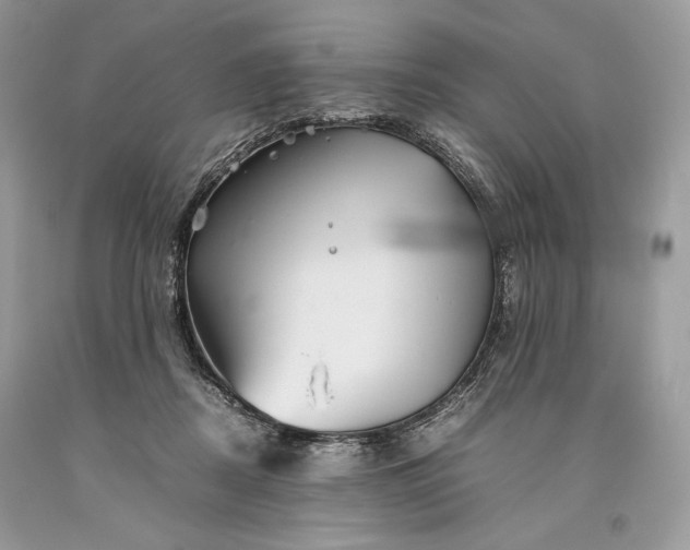 X0000093460362200710261025