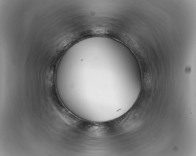 X0000093460364200710261025