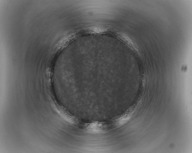 X0000093460366200710261026