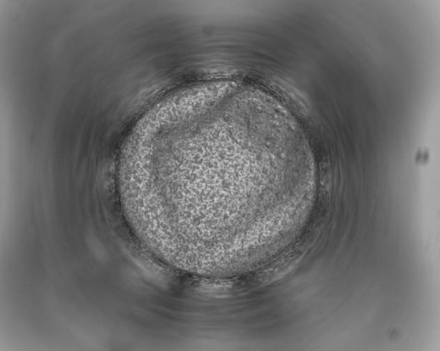 X0000093460369200710261026