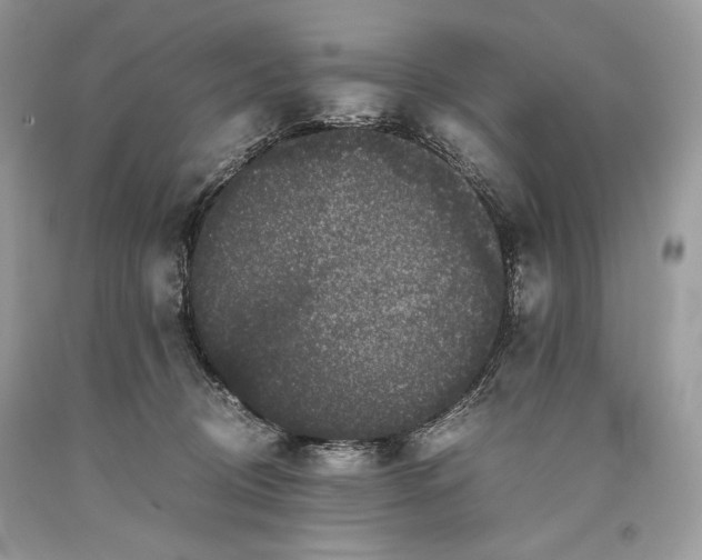 X0000093460370200710261026