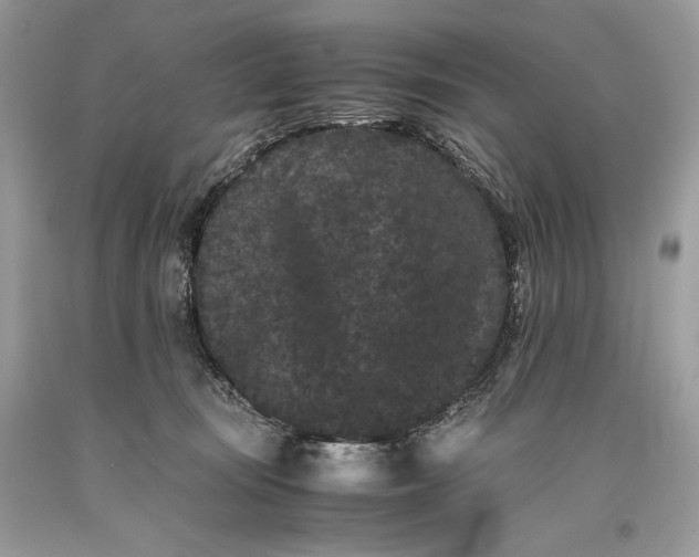 X0000093460371200710261026