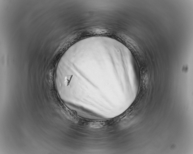 X0000093460373200710261026