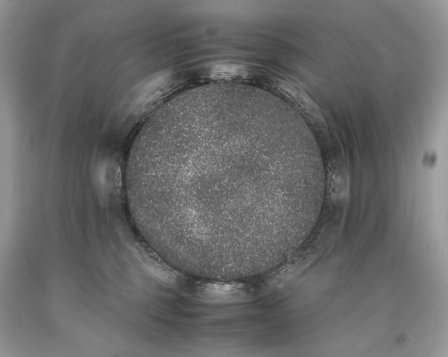 X0000093460375200710261026