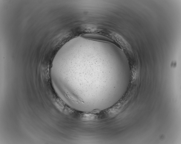 X0000093460376200710261026