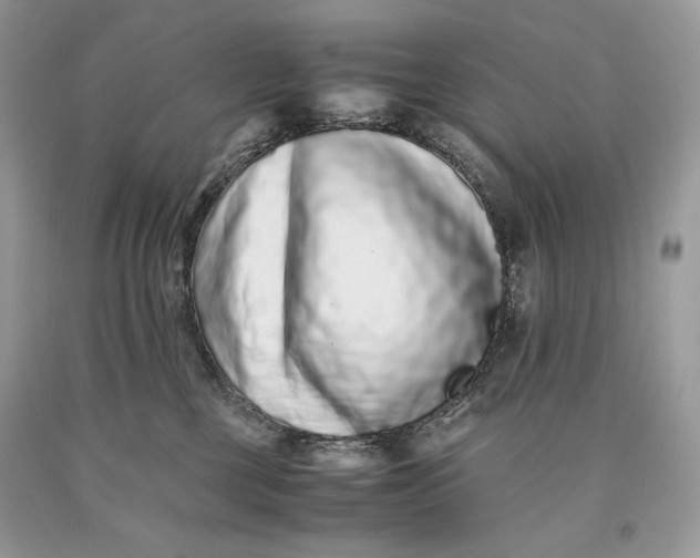 X0000093460377200710261026